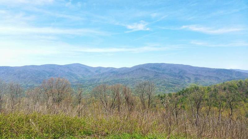 View from Cohutta Overlook along 52