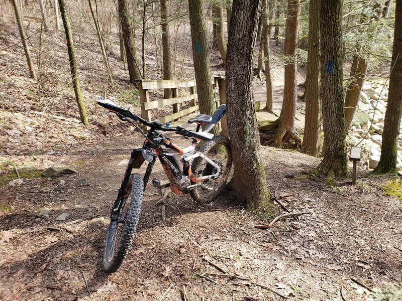 Trail on disk golf course