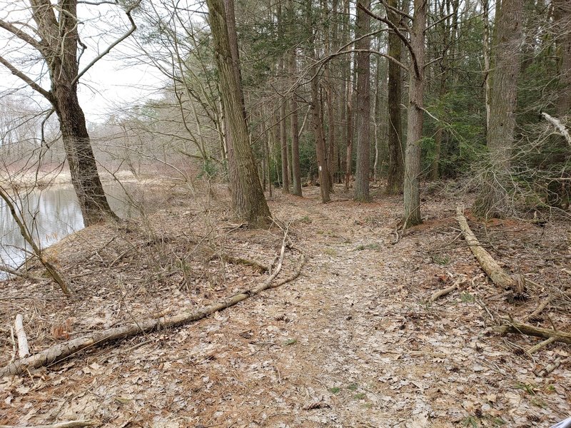 Lakeside trail