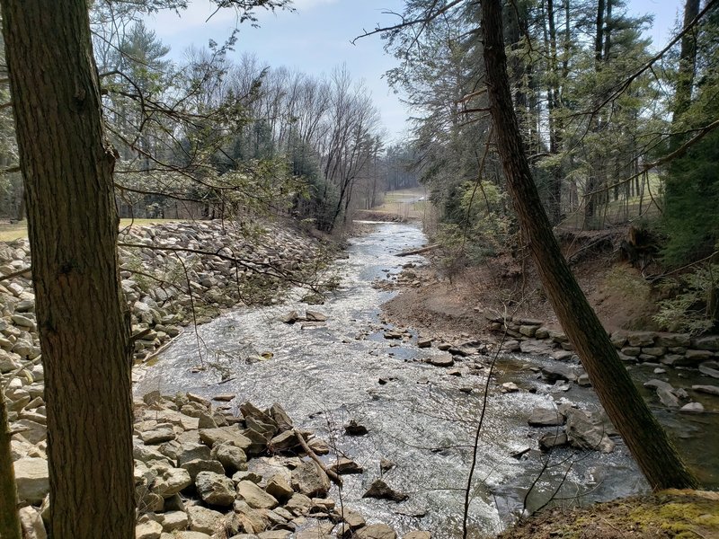 Downstream view from disk golf crossing