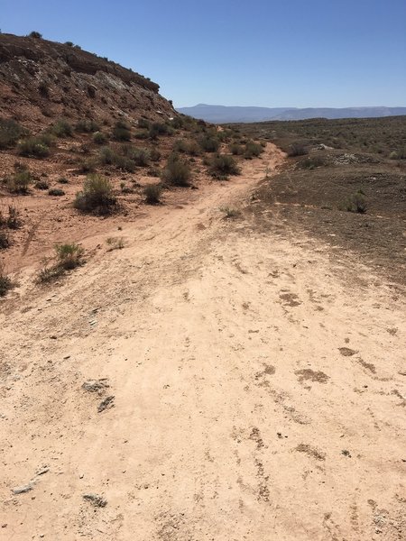 Need to explore this side trail off Snake Pit