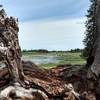 Slavin Ranch wetlands