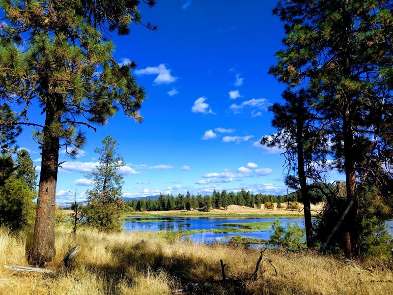 Spokane summer skies