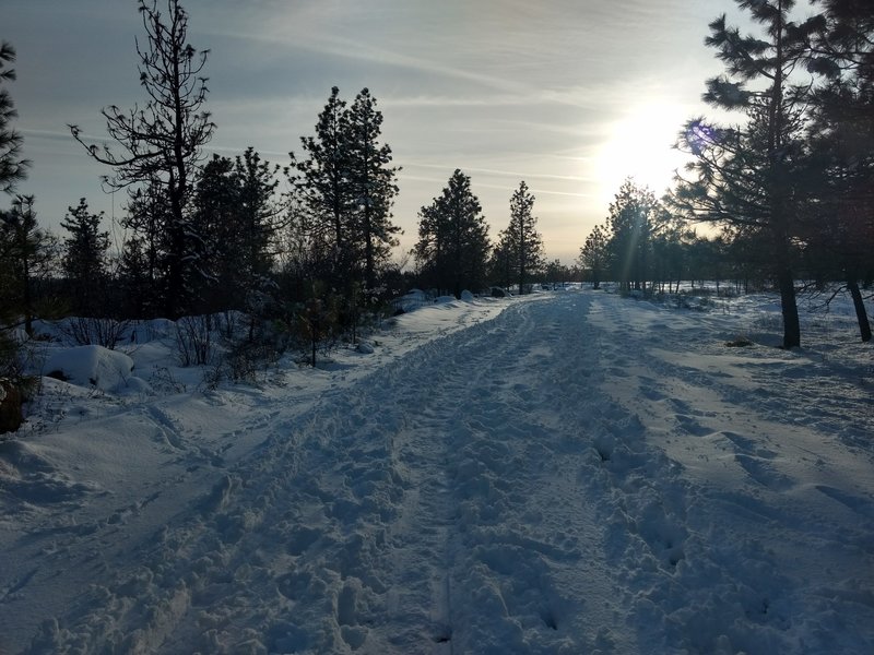 Perfect fat biking trail!