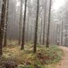 Blue Route at Llandegla.