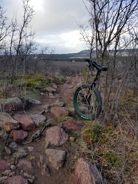 The most technical section of 715 is just below Mt Herman Road, once you go lower the trail becomes flowy with numerous fun boulder jumps. This is a great trail to descend!