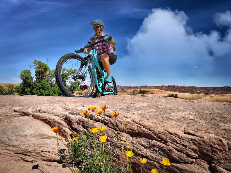 Spring time is a beautiful time to visit Moab!