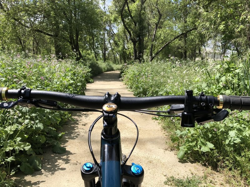 Nature trails in Clearwater park on Levee Trail.