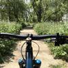 Nature trails in Clearwater park on Levee Trail.