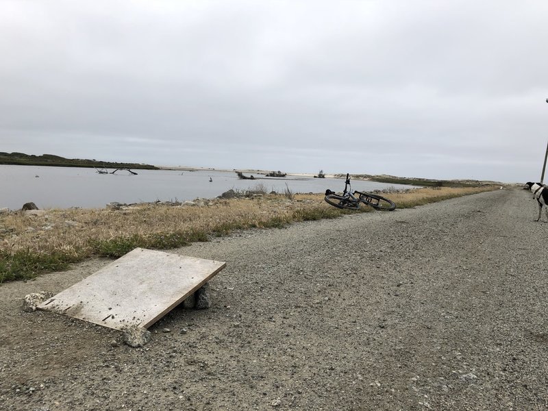 Driftwood ramp