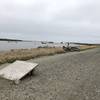 Driftwood ramp