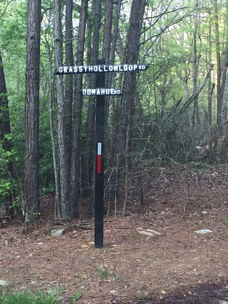 One of the few directional signs in the WMA.