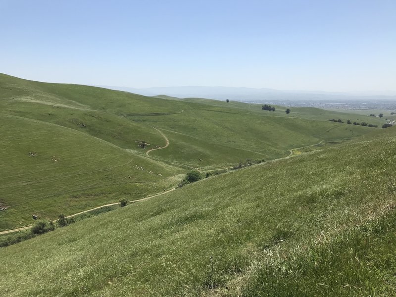 Headed to the top of Brushy Peak.