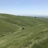 Headed to the top of Brushy Peak.