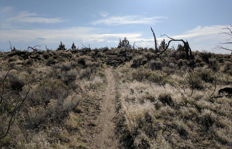 Lava rock feature awaits.