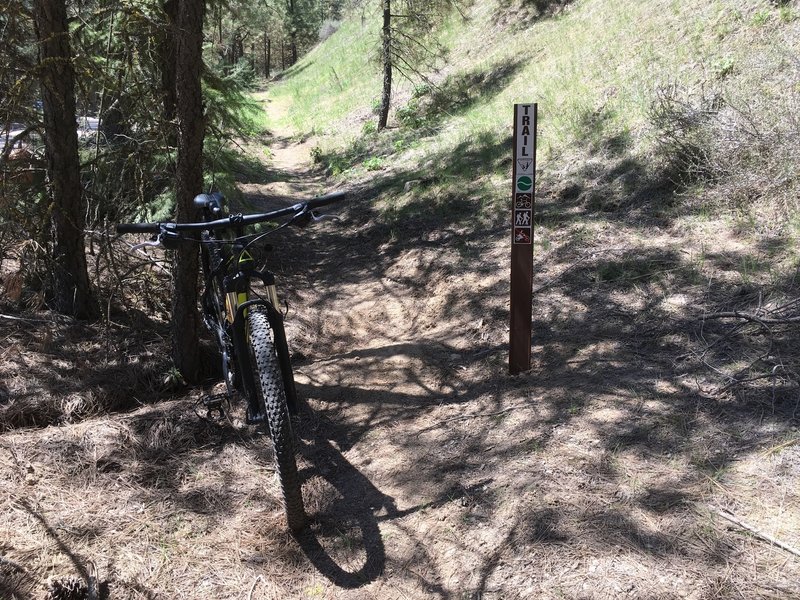 Look for this trail marker sign on the right as you head south on Alder Creek Rd.