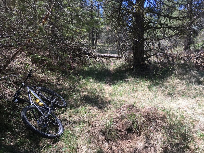 The trail ends here - PLEASE TURN AROUND and don't trespass on private property.