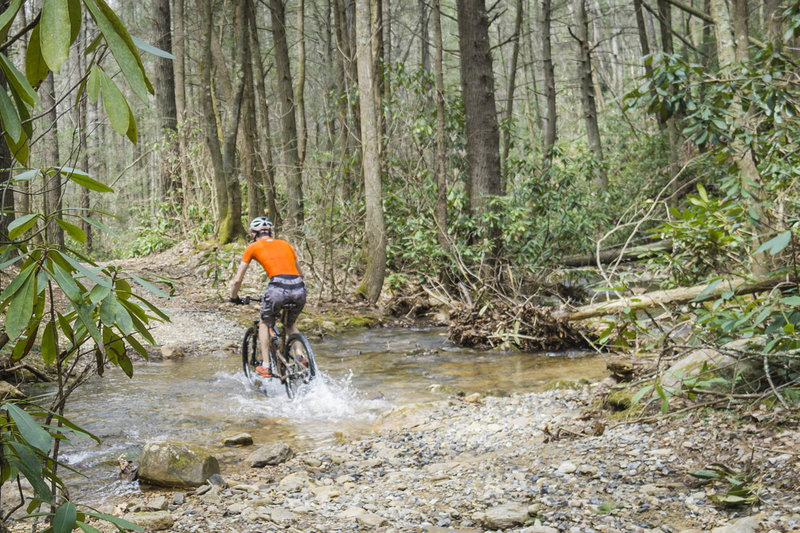 Splashing through Kinser Creek along the Virginia Highlands Horse Trail