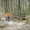 Splashing through Kinser Creek along the Virginia Highlands Horse Trail