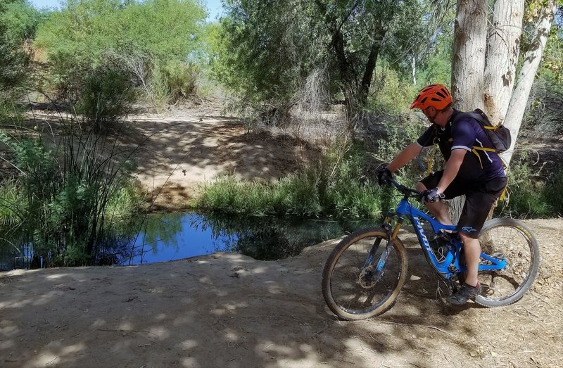 This little stream enters the Colorado just north of this spot, cascading down a small rapids. Something one does not expect to find in the low desert.