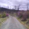 The closed gravel road from the parking area, part of McKenzie Gulch Spur.