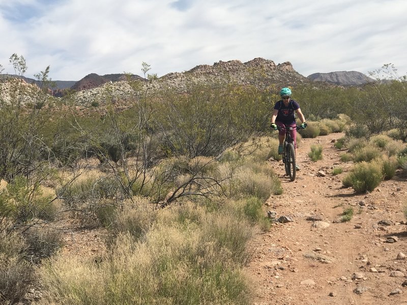 Nice and easy trail for the family with the Red Cliffs following along!