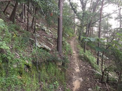 Heading down this section of High Voltage is more fun than climbing back up, but you have to pay to play.