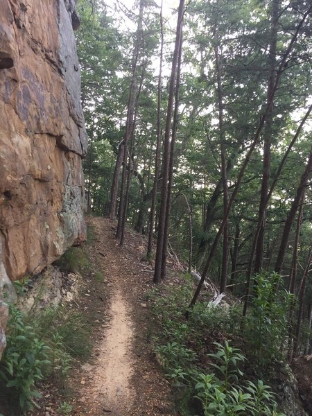 When climbing High Voltage, this is the section where you should think: "Get skinny!" This is also right before the climbing really gets tough.