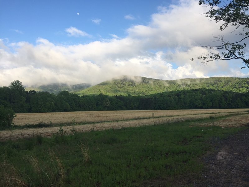 Ridgeline Trail shrouded by clouds.