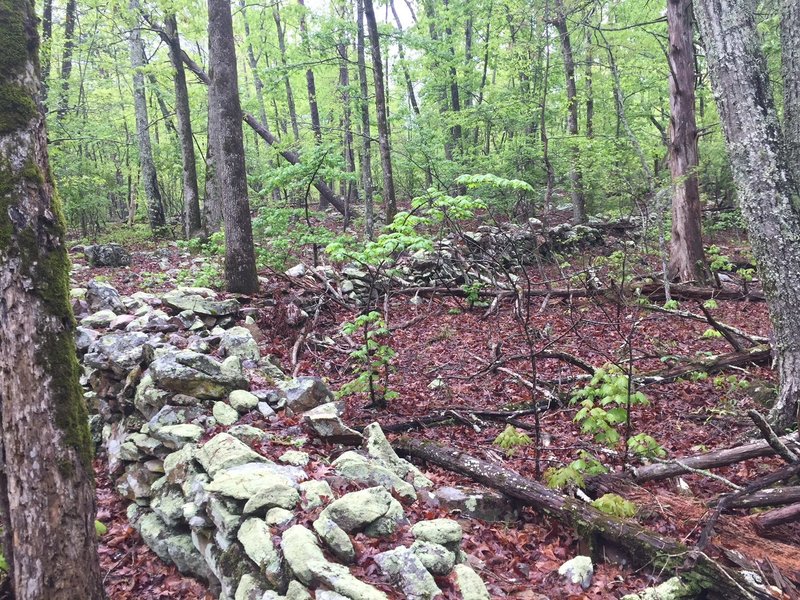 Historic rock walls