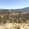 From Canyon of the Ancients trail, overlooking Sand Canyon Trail to the southeast. Ute mountain in the background.