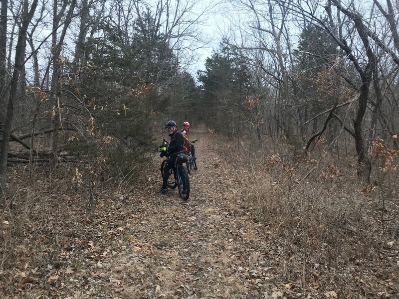 Part of the Truman Lake Mtn Bike Park