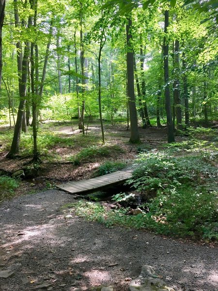 One of many creek crossings