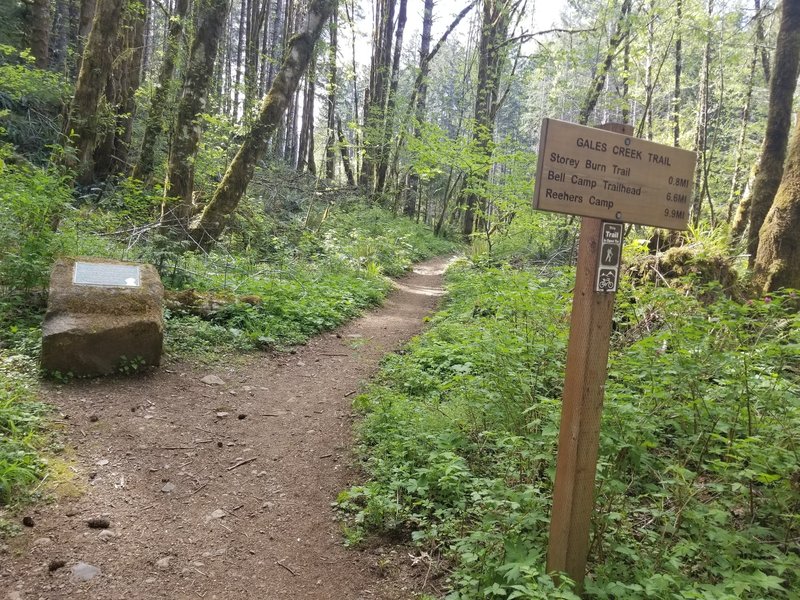 The start of the trail - headed to either Storey Burn, Bell Camp or Reeher's. Along with the memorial plaque to Randy Hodge - who died while helping to build the trail.