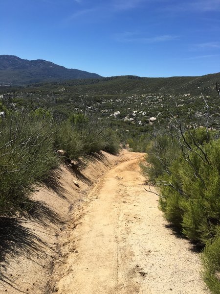 Runoff erosion on Exfoliator.