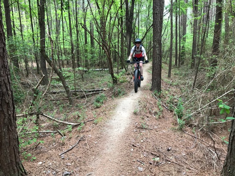 Singletrack on a narrow spine.