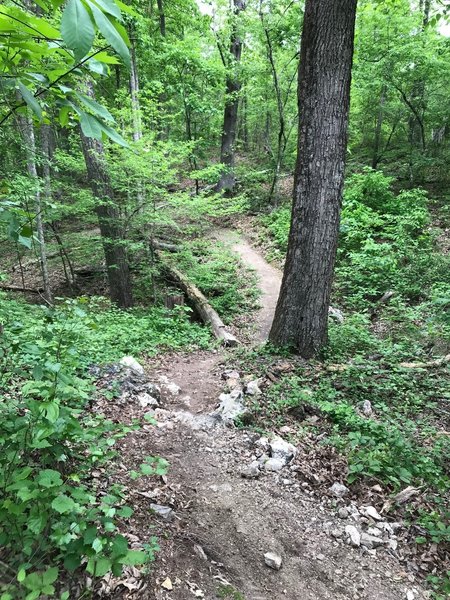 A mix of trail and rock, common terrain on Atlas.