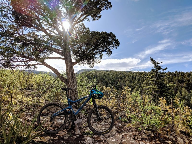 Armijo Loop Mountain Bike Trail Sandia Knolls New Mexico