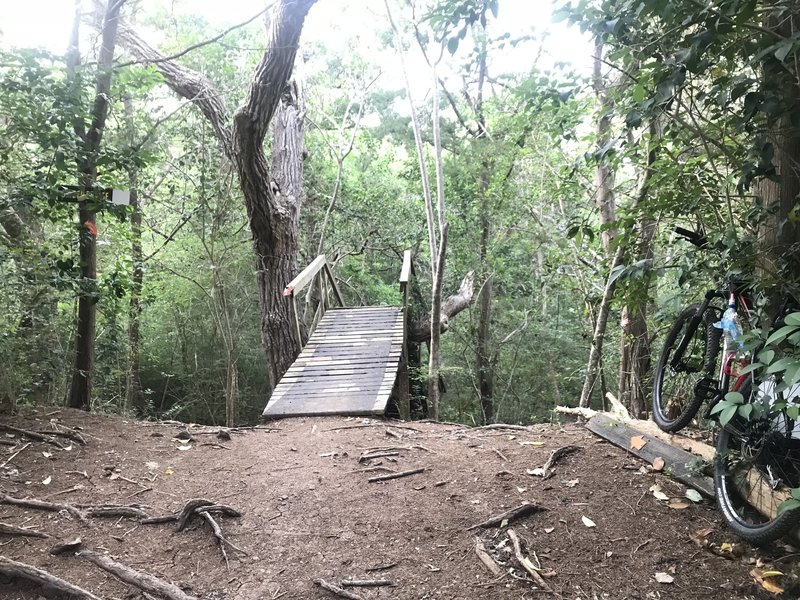 Spider Bridge (steep wooden drop)