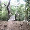 Spider Bridge (steep wooden drop)