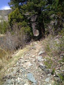 Some rocky sections.