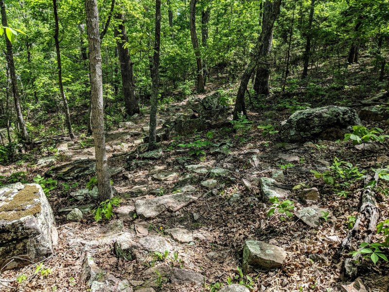 One of the rock gardens.