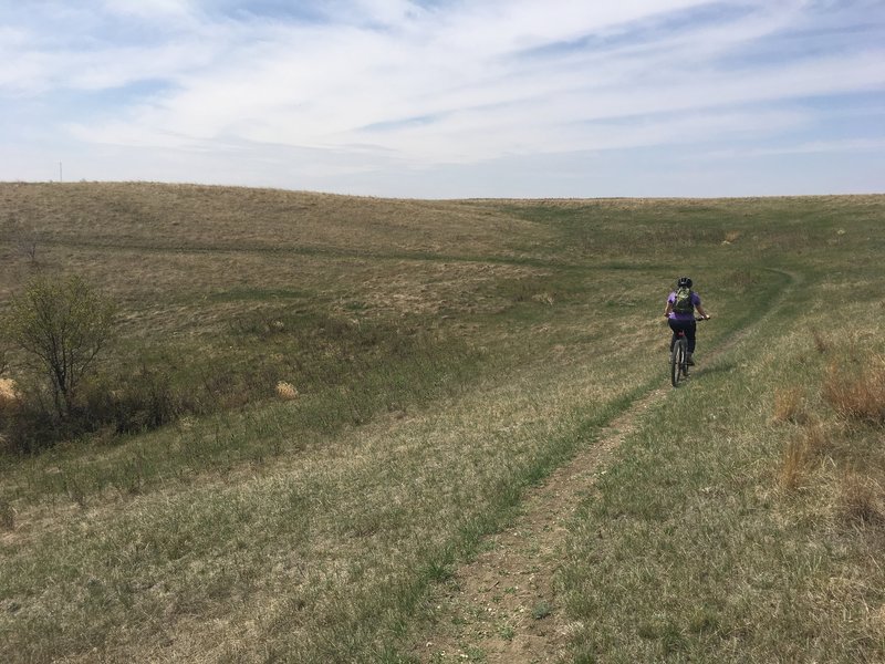 The trail is easily identified through the entirety of the loop.