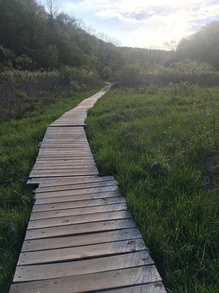 The boardwalk