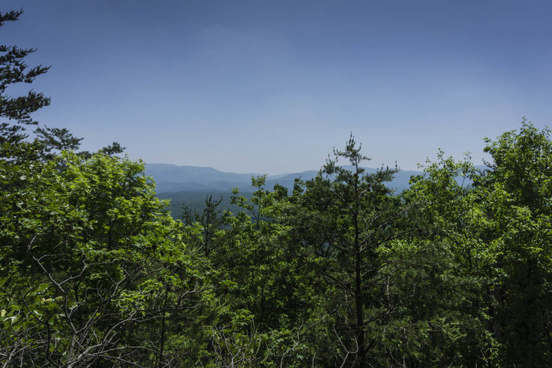 The view from Doogan Lookout - sadly the fire tower is long gone