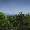 The view from Doogan Lookout - sadly the fire tower is long gone