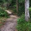 A dip in the trail right after the Meadow View trailhead.