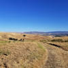 Laughlin Ranch and Livermore are quite beautiful from the West Side Loop Trail.