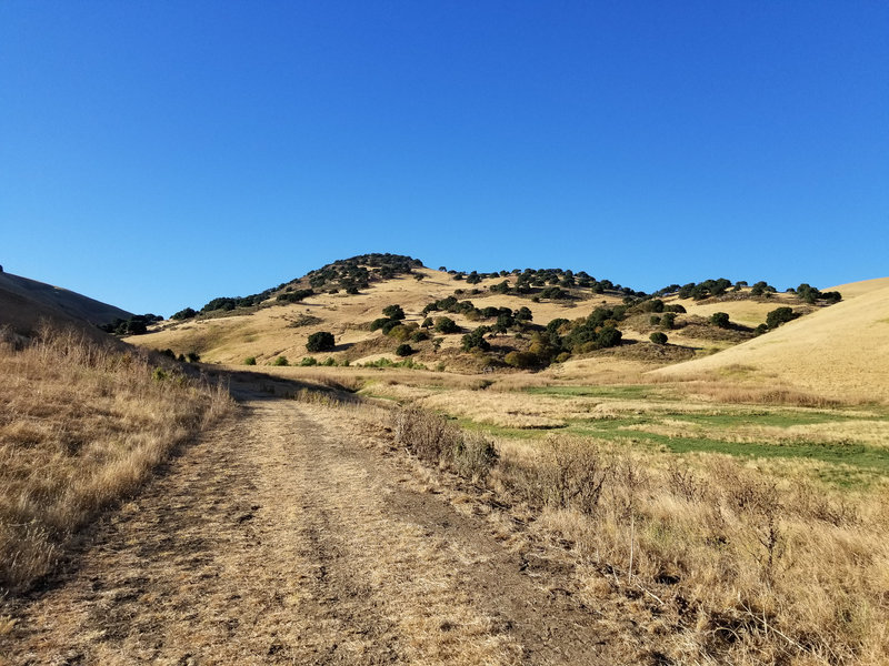 Brushy Peak is beautiful from afar.