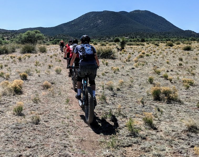 After a savage climb up Bear Mountain Road, the group transitions to the singletrack and pushes toward the crux of this ride!